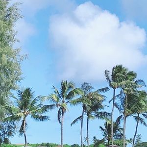 Meet your Posher, Yuki